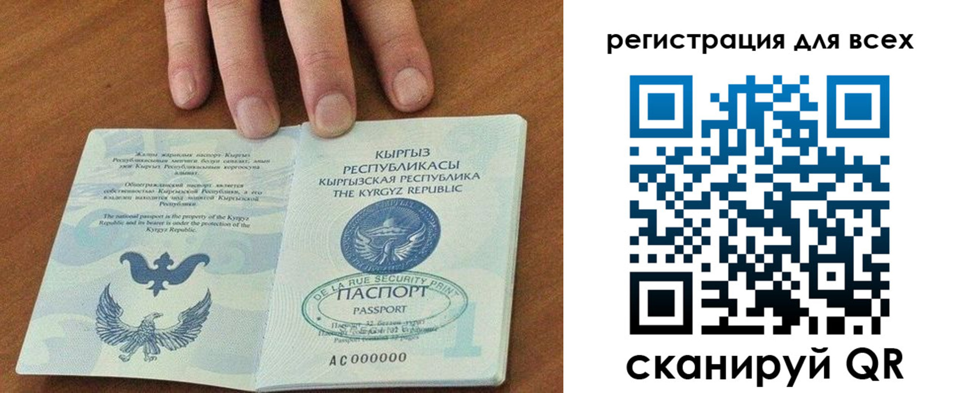 прописка для школы в Сертолово